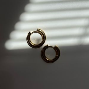ZARA Hoop Earrings